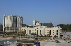 �����������tԺ�C������